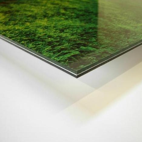 3mm Dibond Composite Sign Board - Custom Printed Full Color, Rigid & Durable