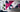 Why Custom Wall Coverings Will Change the Way You Think About Office Branding