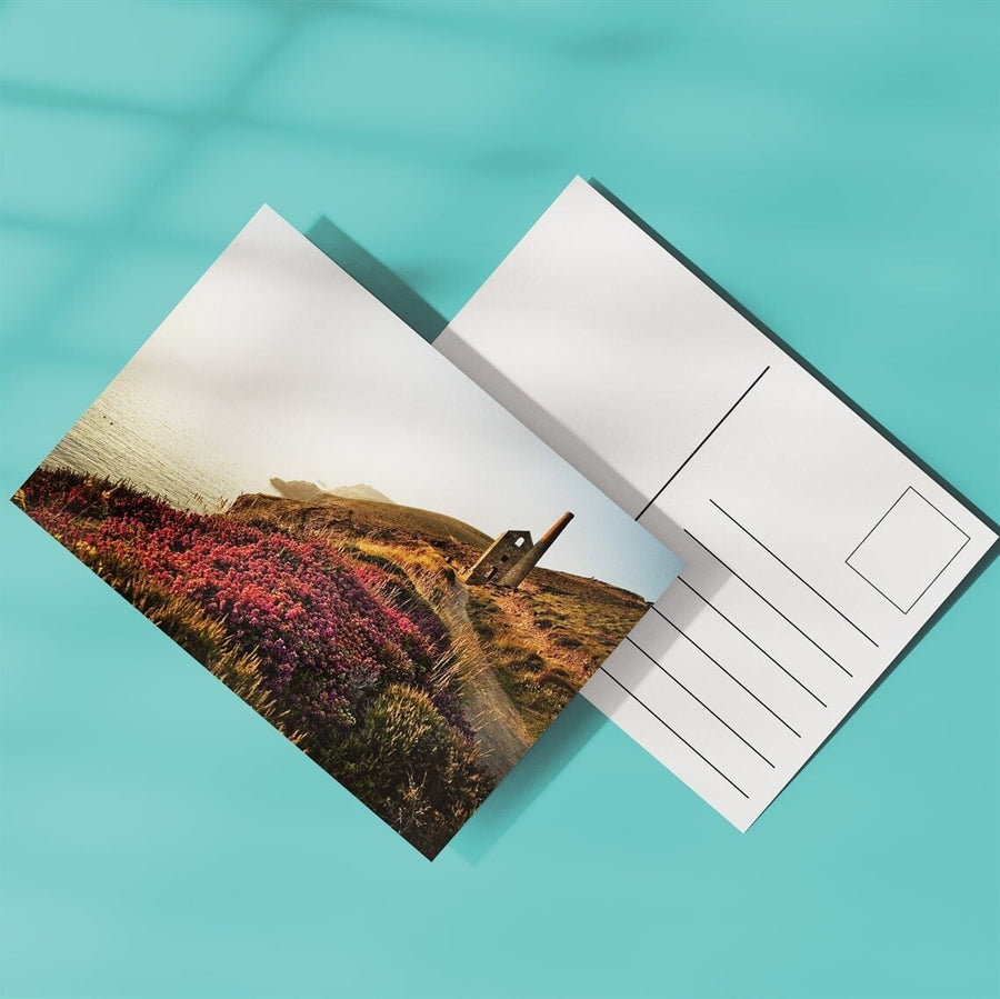 Postcard Printing