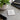 Square Business Card Printing showing full-colour print detail and product presentation