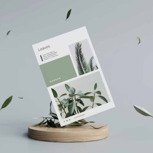 Flyer & Leaflet Printing Digital Printing Print Zoo Belfast Printer